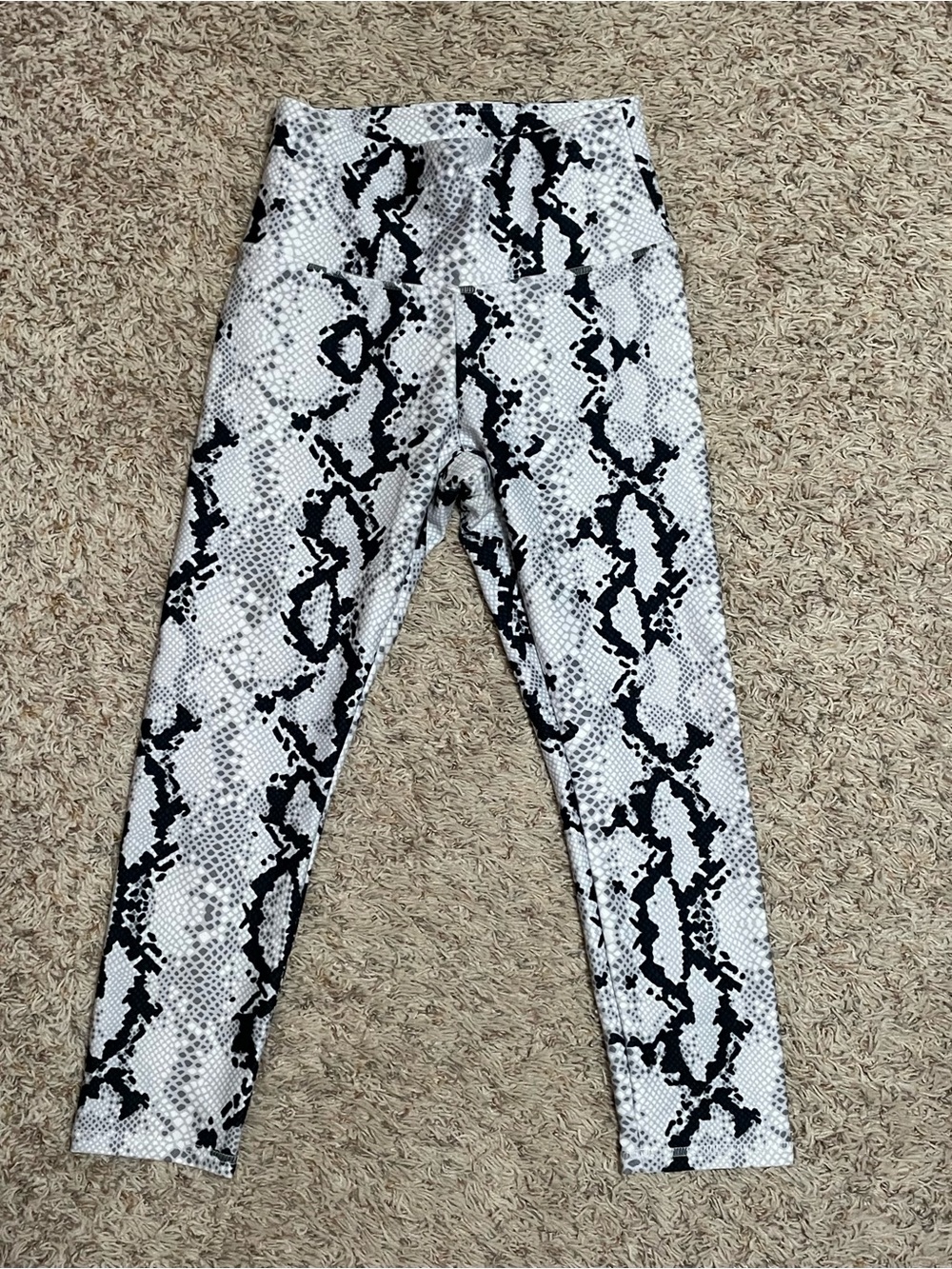 NWOT Evolution & Creation Activewear